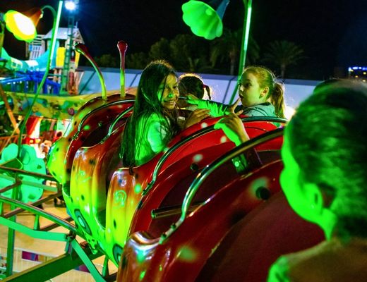 brocomela-family-park-2